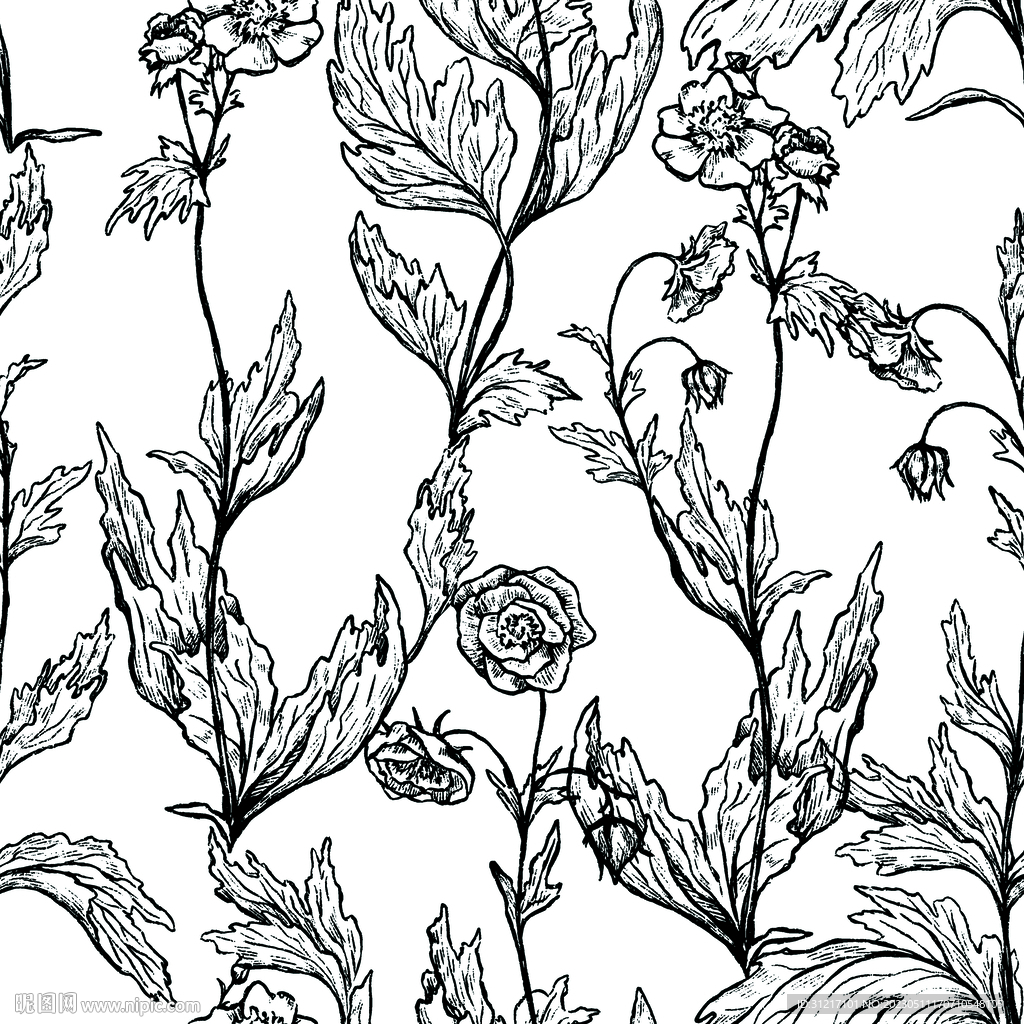 线条花     单色花