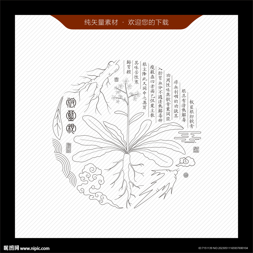 板蓝根
