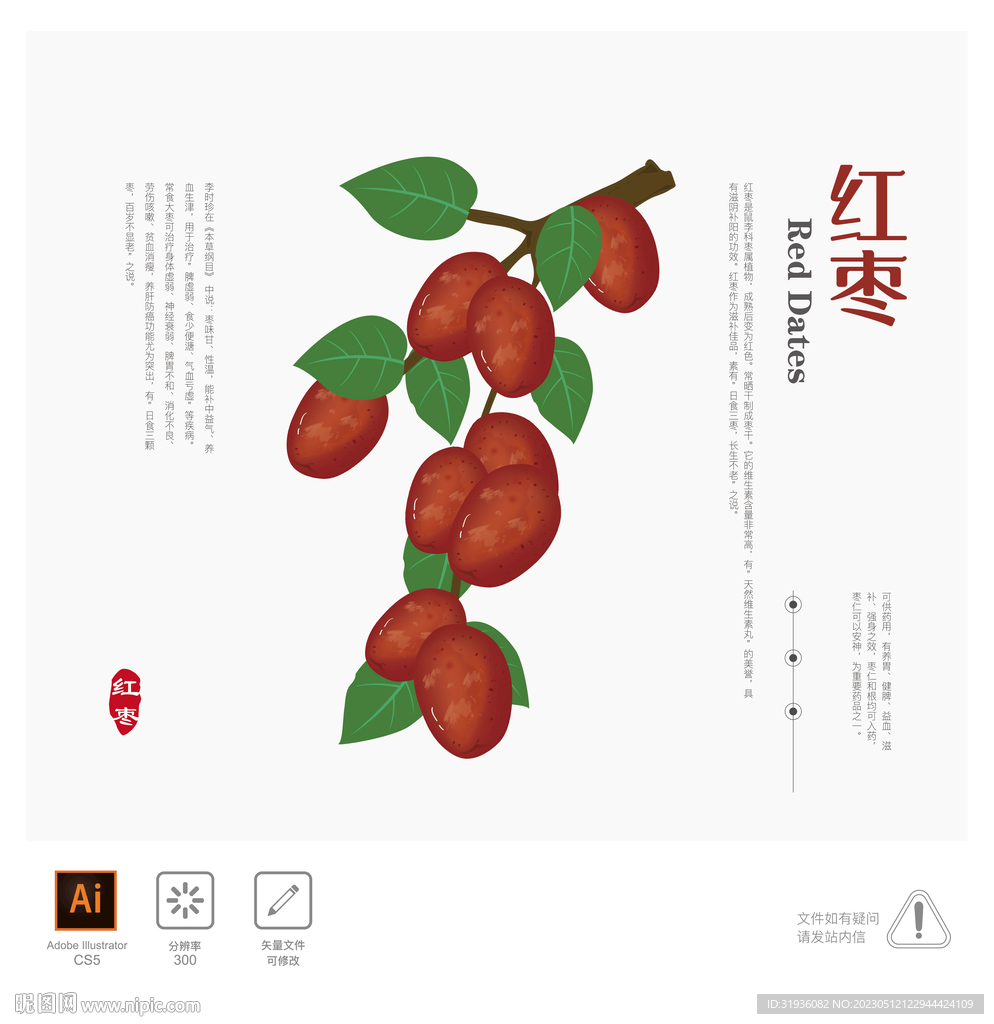 红枣 插画