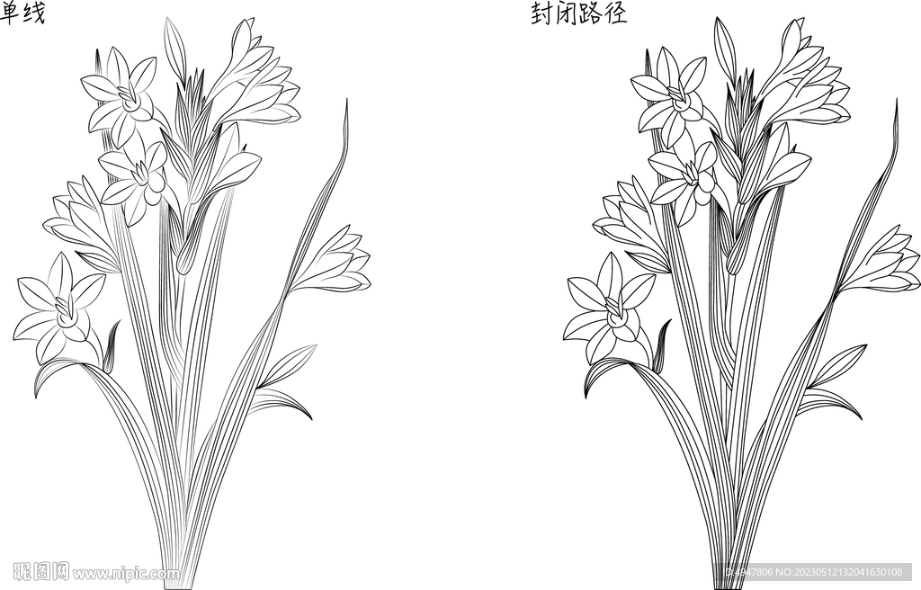 兰花 矢量图