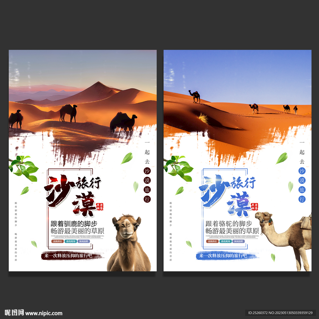 沙漠