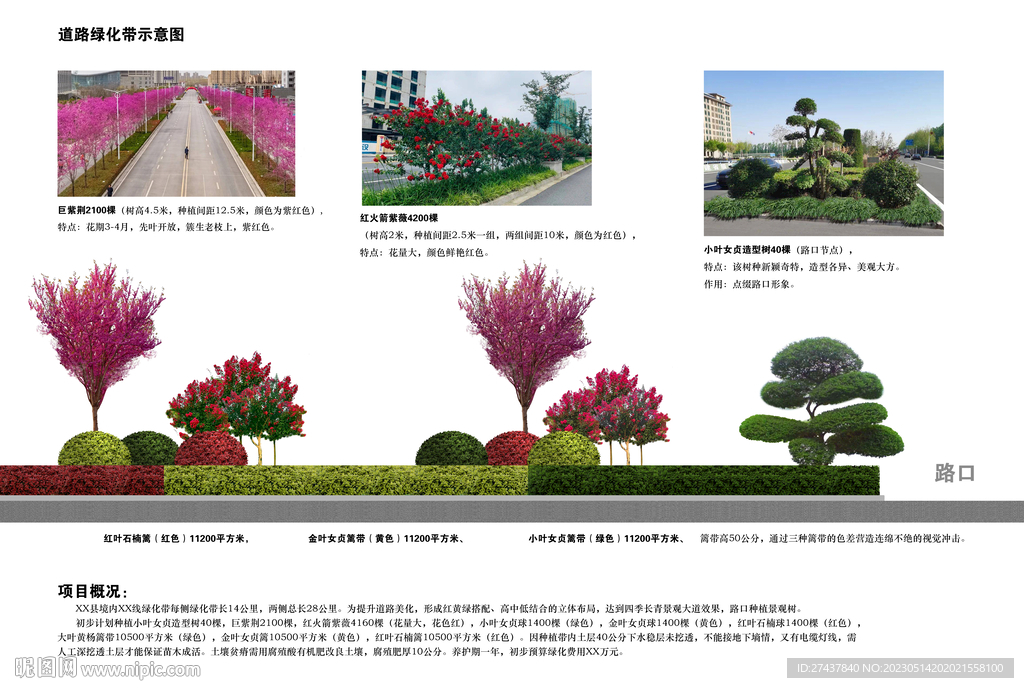 市政道路绿化带立面示意图