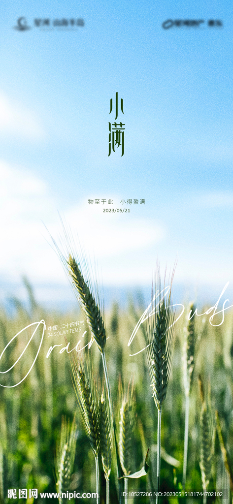 小满节气刷屏稿