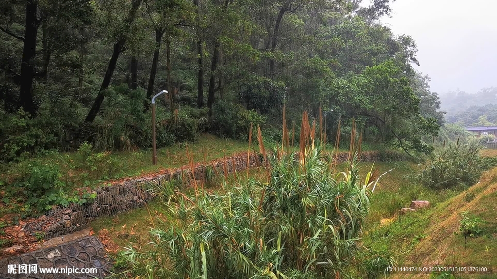 公园下雨自然实拍1080高清视