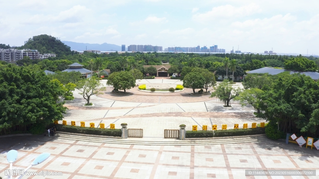江门新会区小鸟天堂景点旅游风光