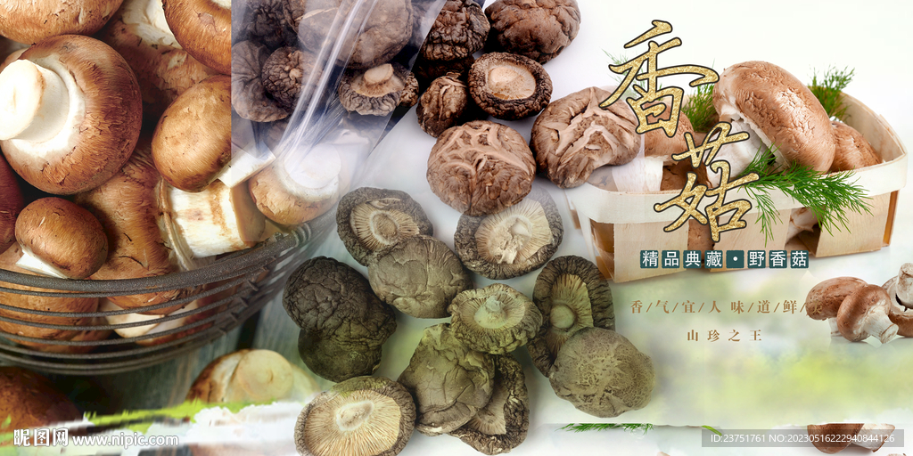 香菇 