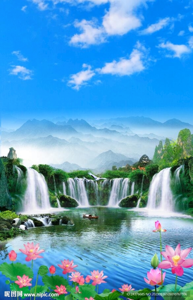 荷花风景 