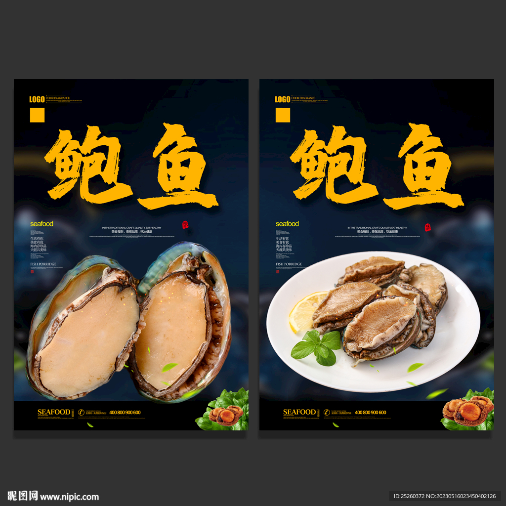 鲍鱼