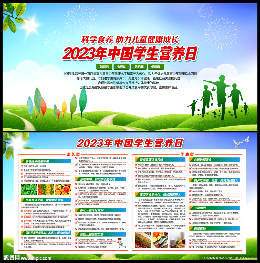 中国学生营养日展板