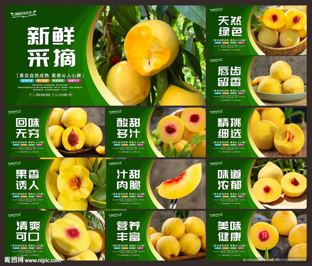 黄桃