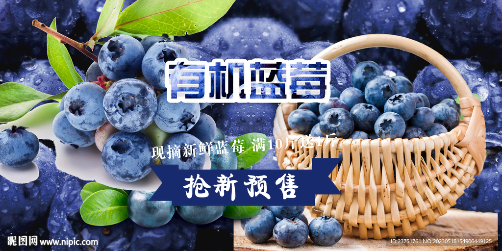 蓝莓果汁