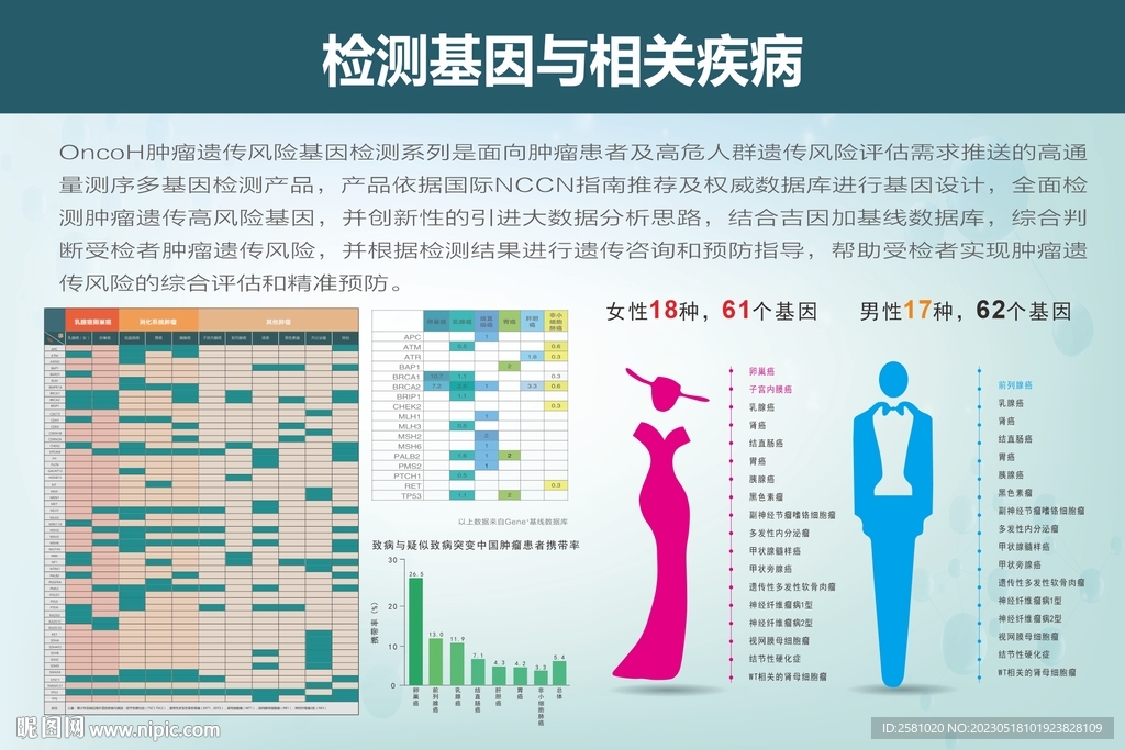 检测基因与相关疾病
