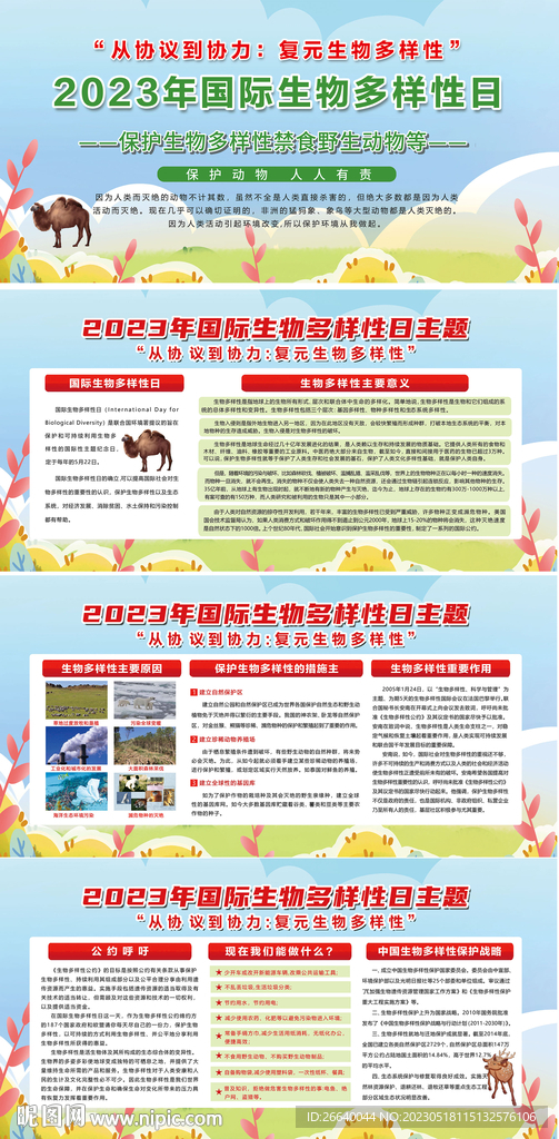 国际生物多样性