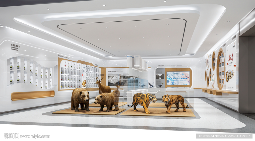 动物展厅效果图