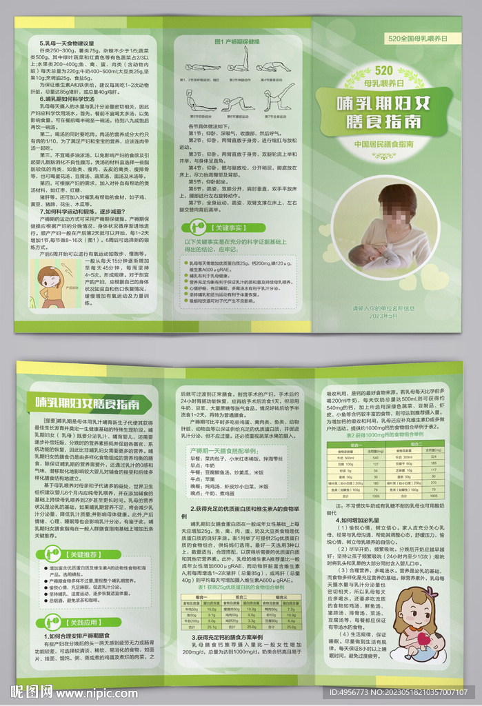 哺乳期妇女膳食指南三折页
