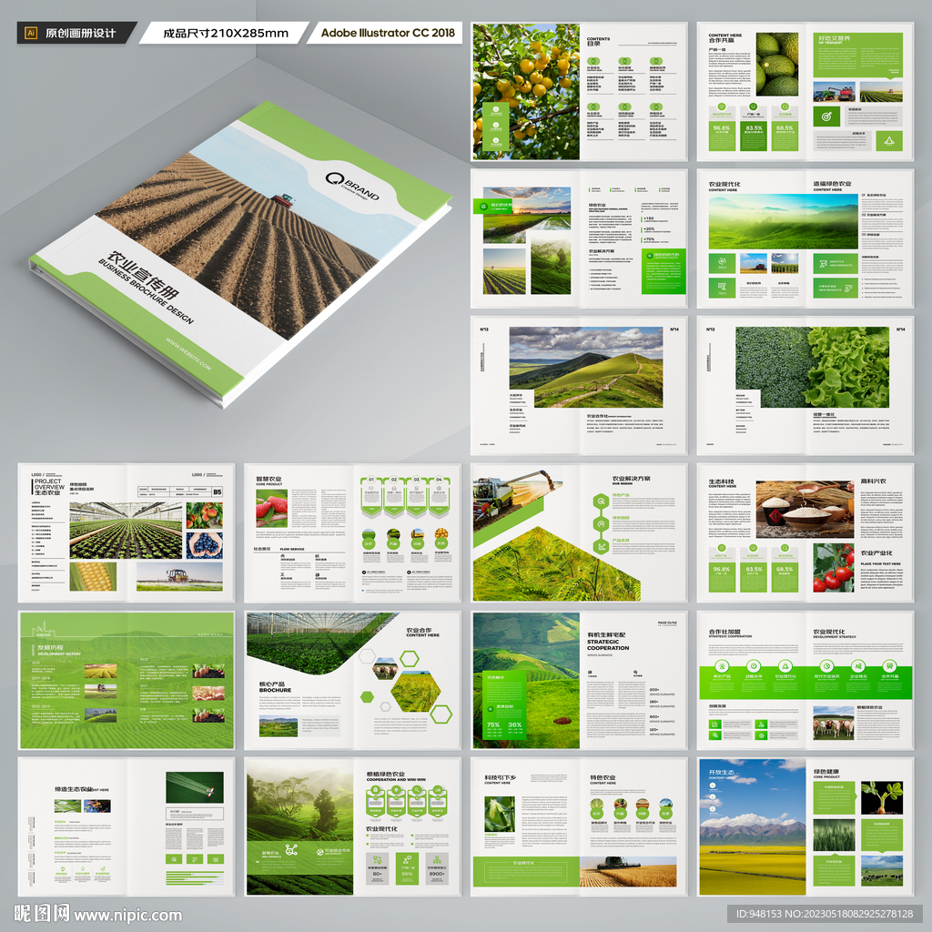 农产品宣传册