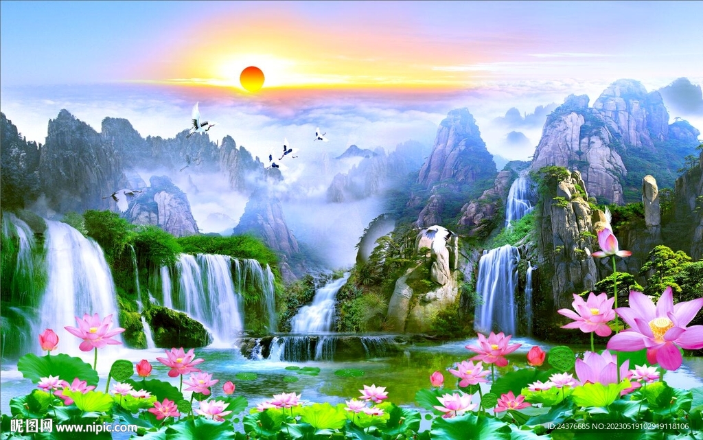 荷花风景