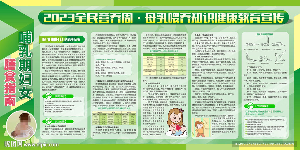 哺乳期妇女膳食指南展板