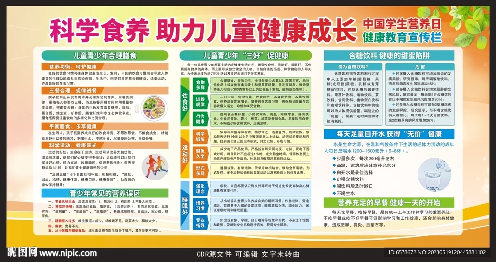 中国学生营养日宣传栏
