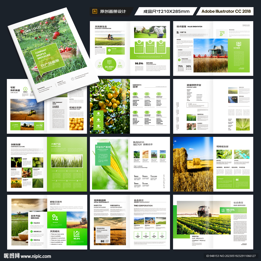 农产品宣传册