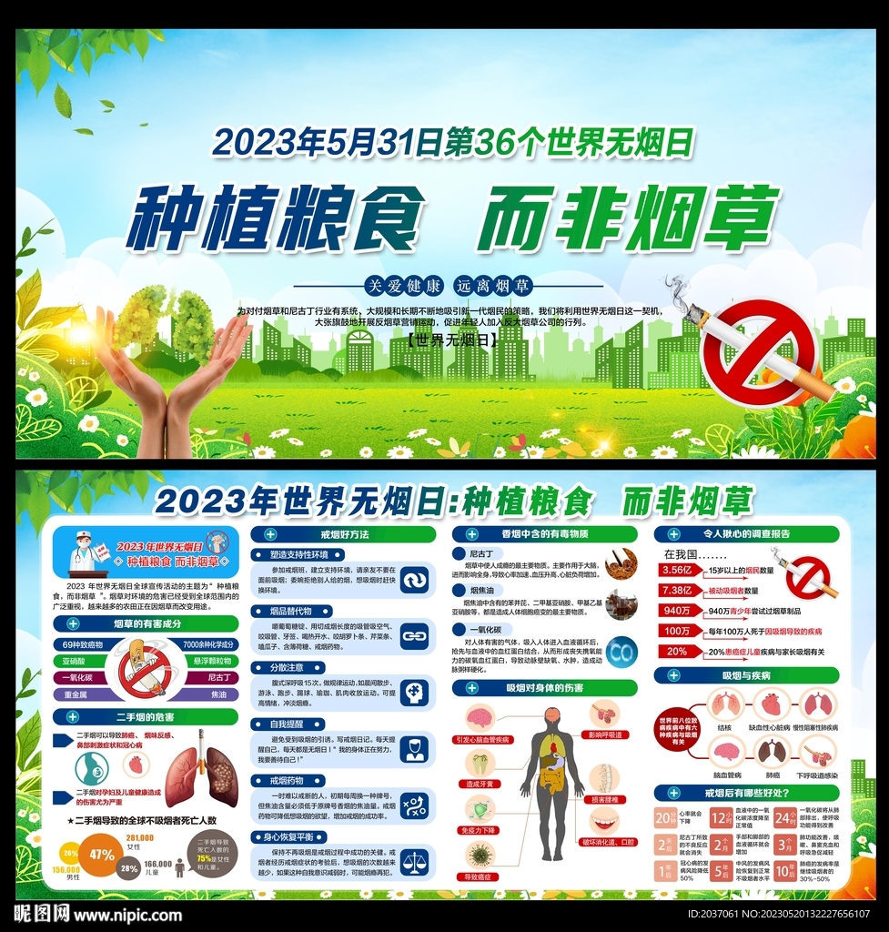 2023年世界无烟日展板