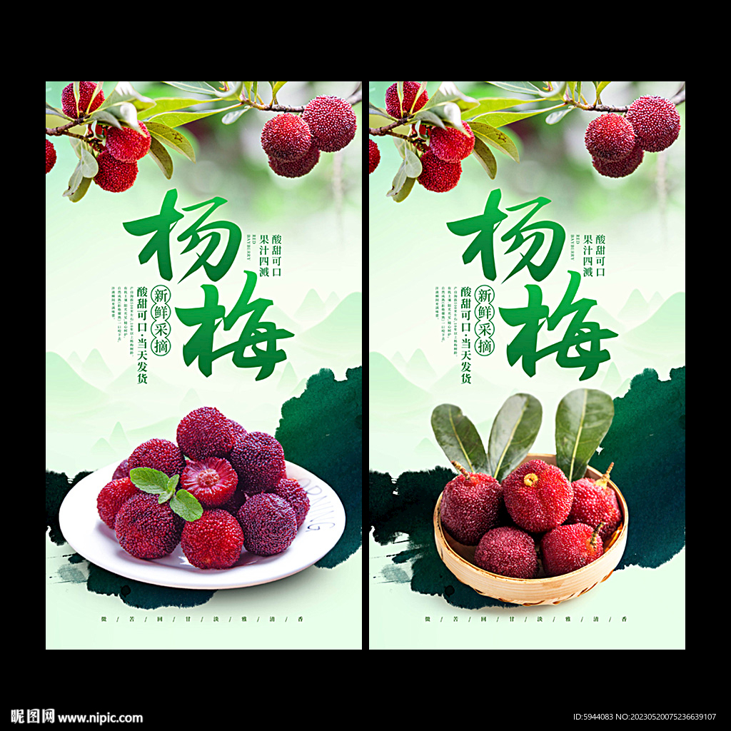 杨梅海报