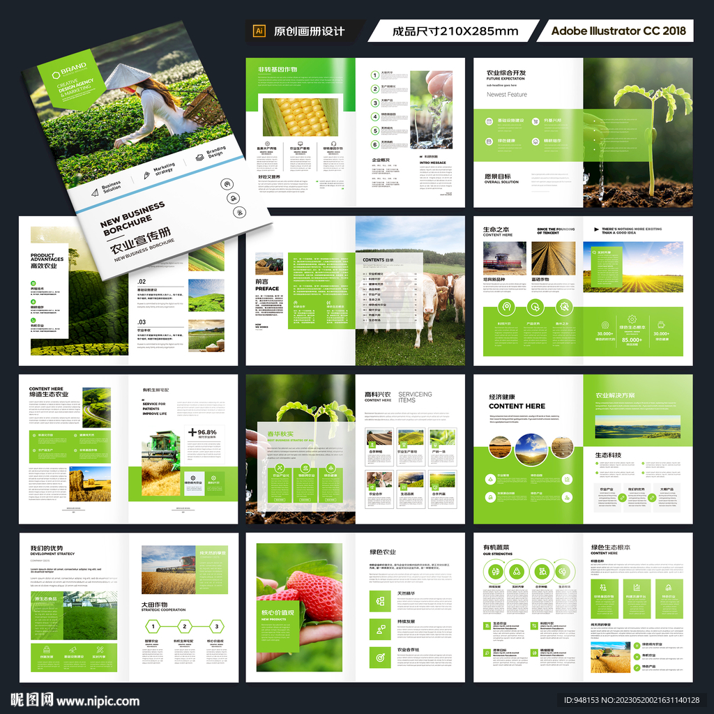 农产品宣传册