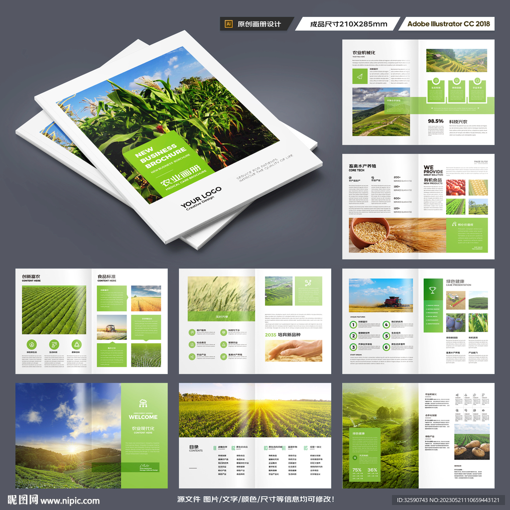 农产品宣传册