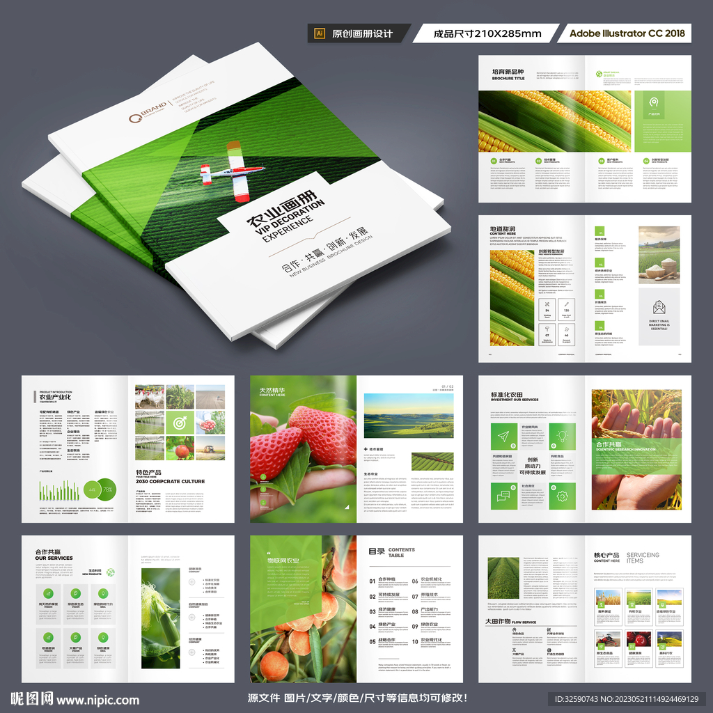 农产品宣传册