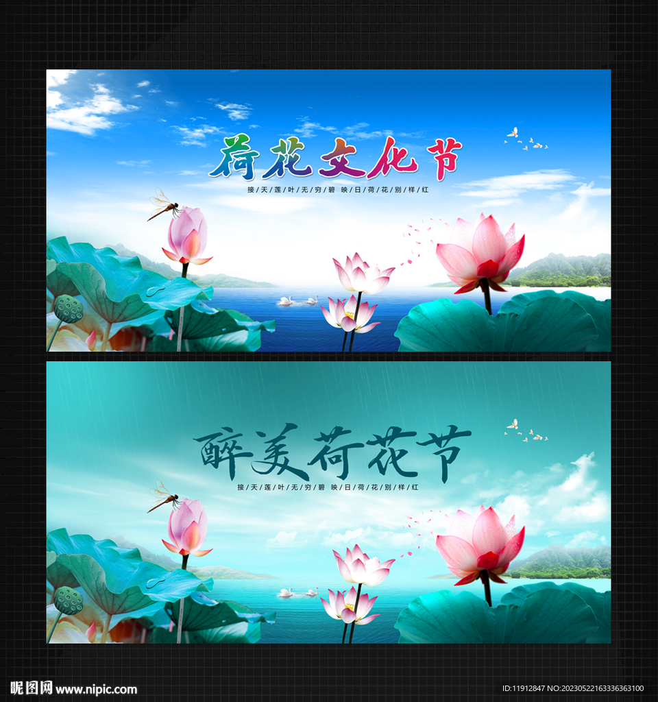 荷花节