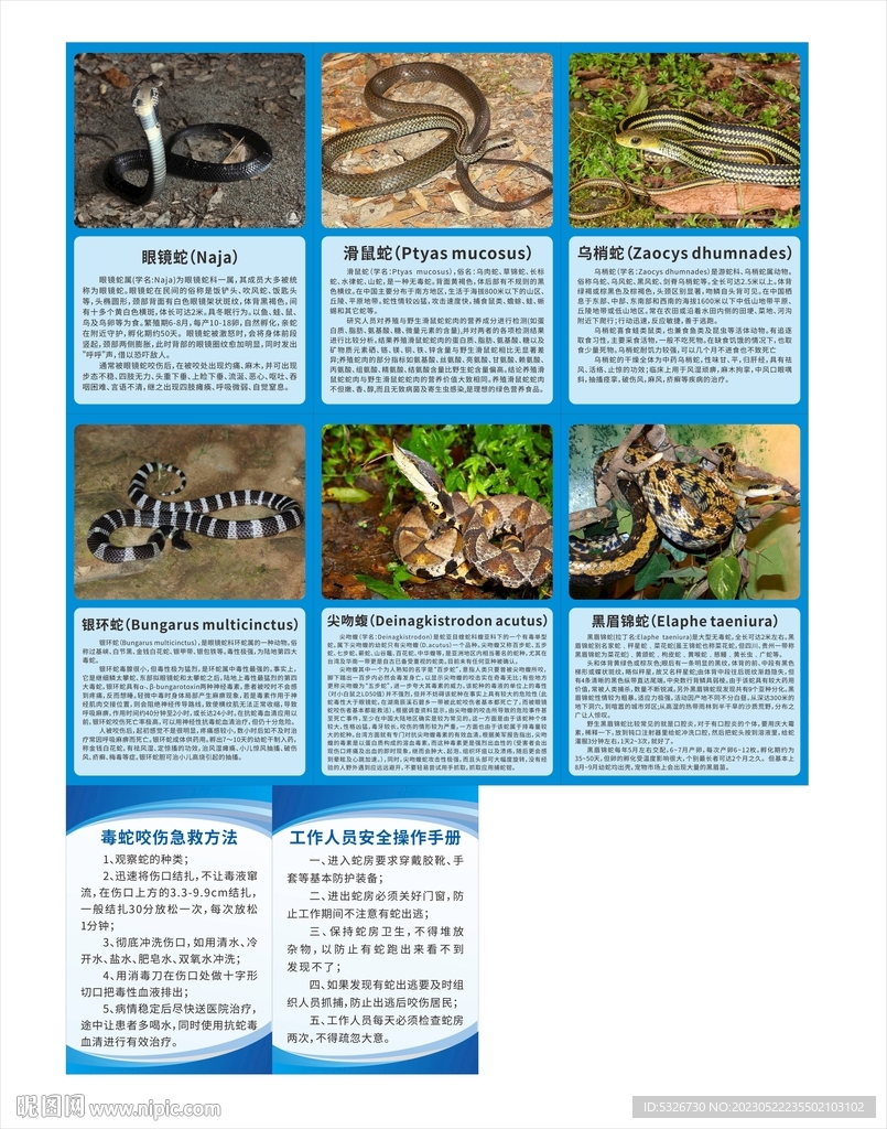 动物简介