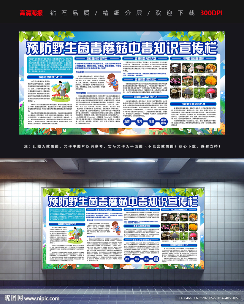 野生菌