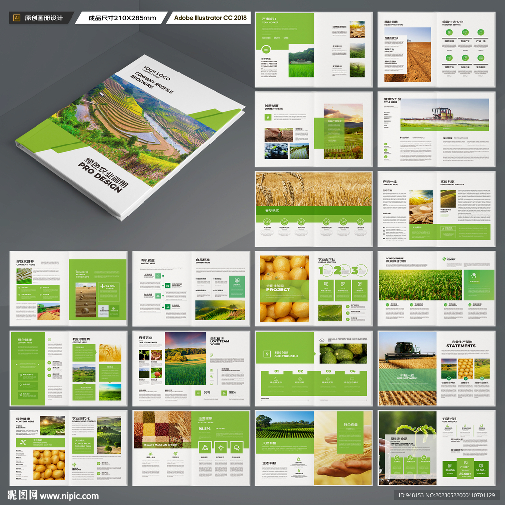 农产品宣传册