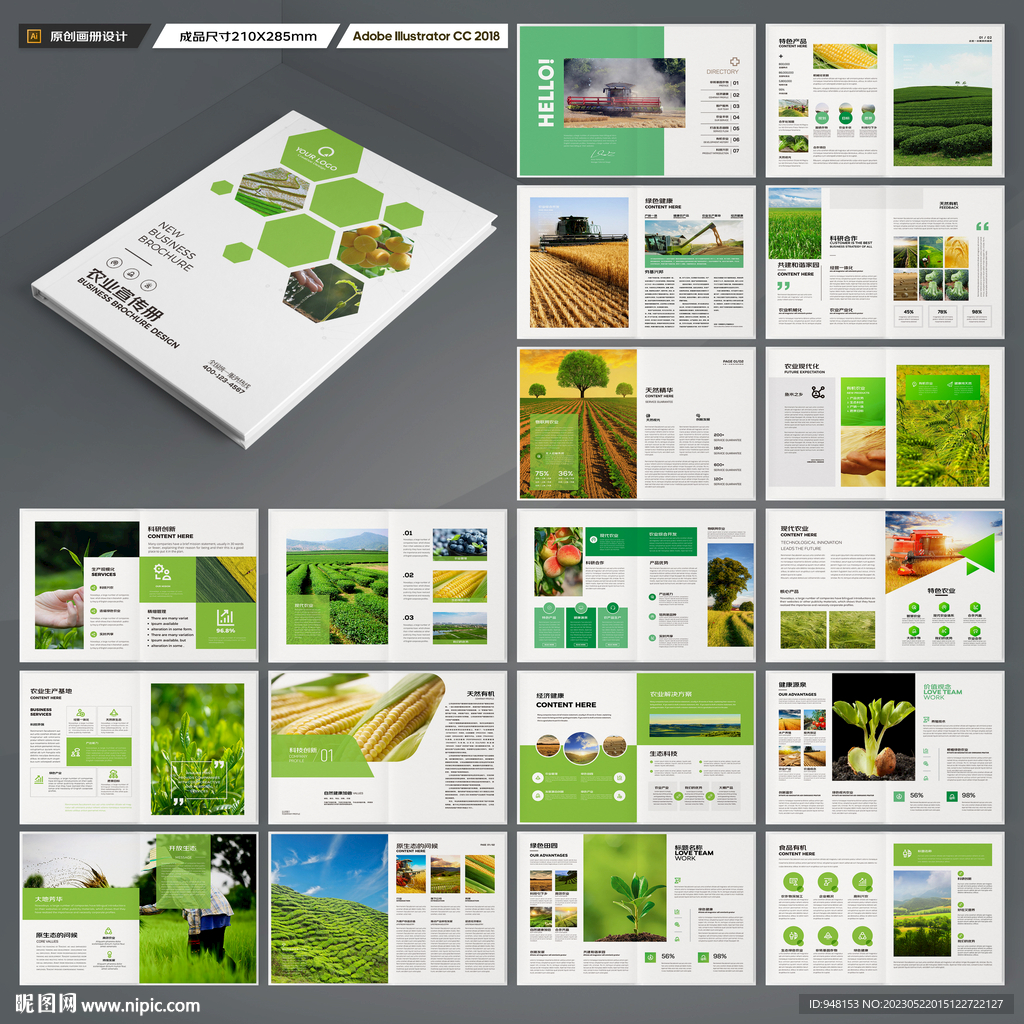 农产品宣传册