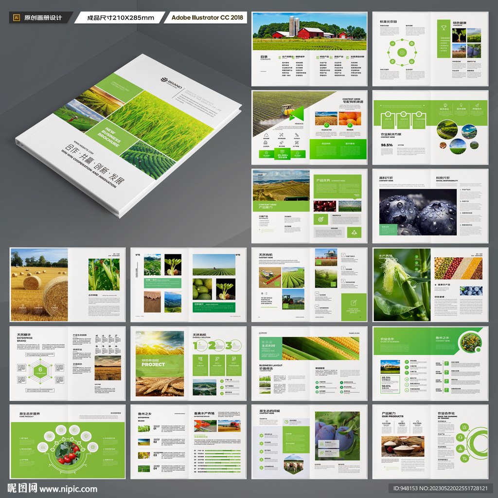 农产品宣传册