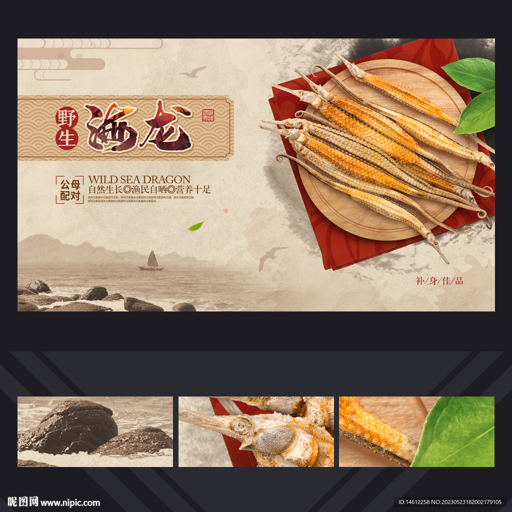 海龙