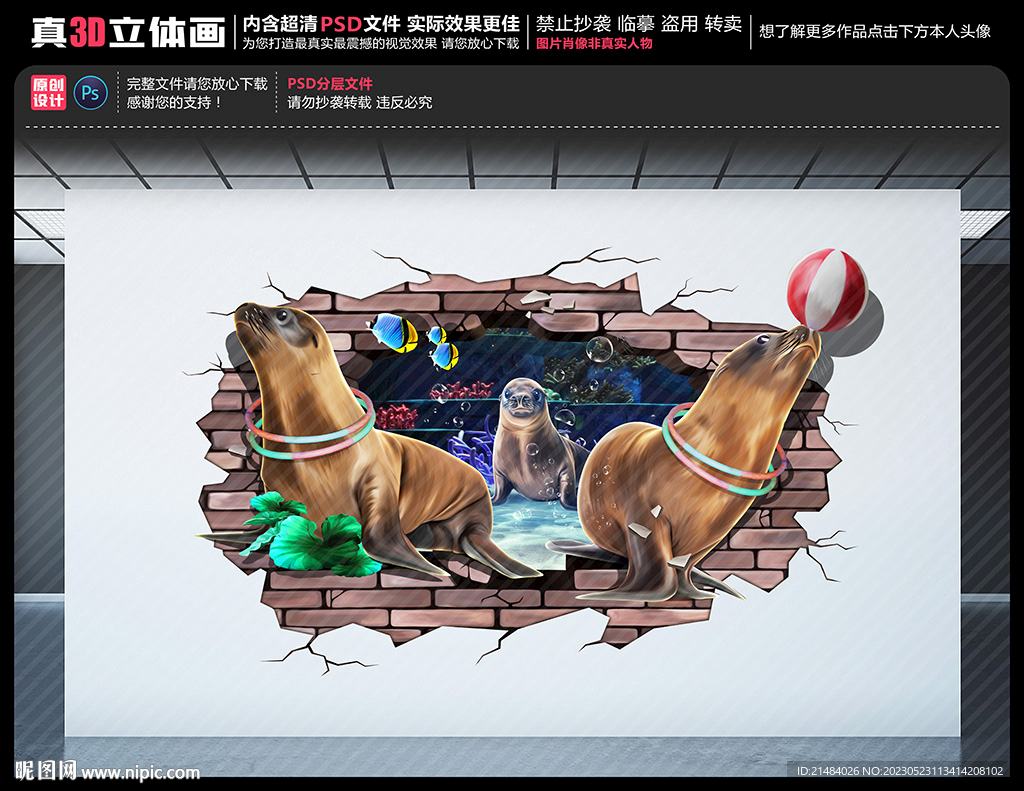 海狮