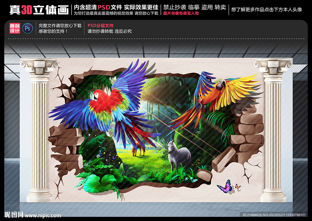 鹦鹉立体画