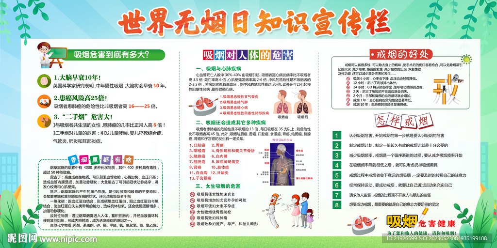 世界无烟日知识宣传栏