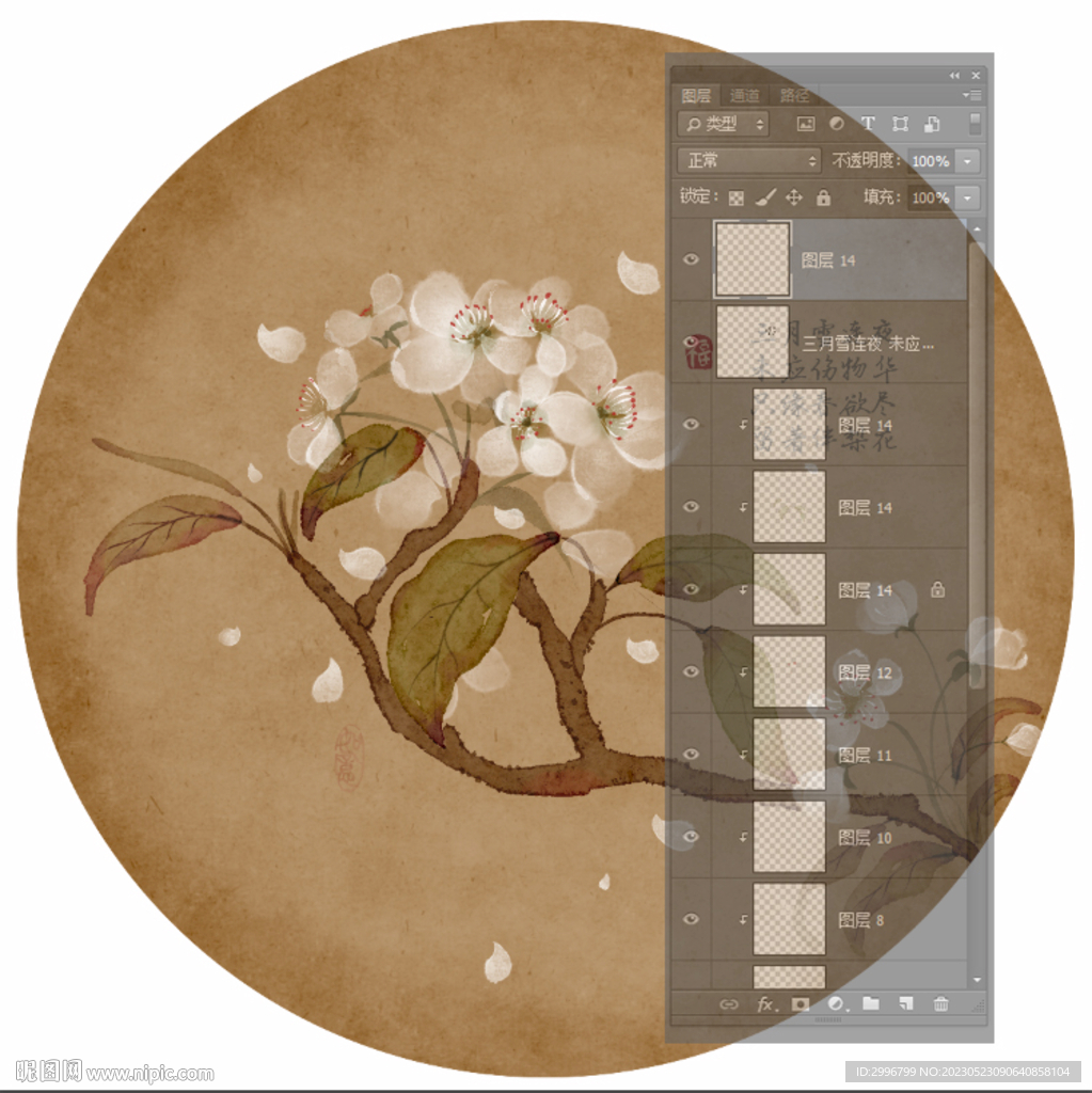 梨花 手绘