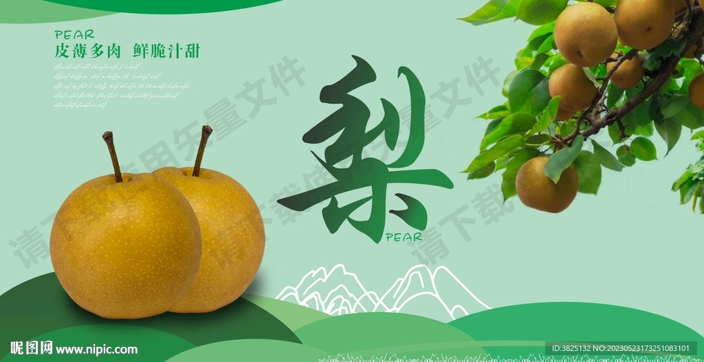 梨 