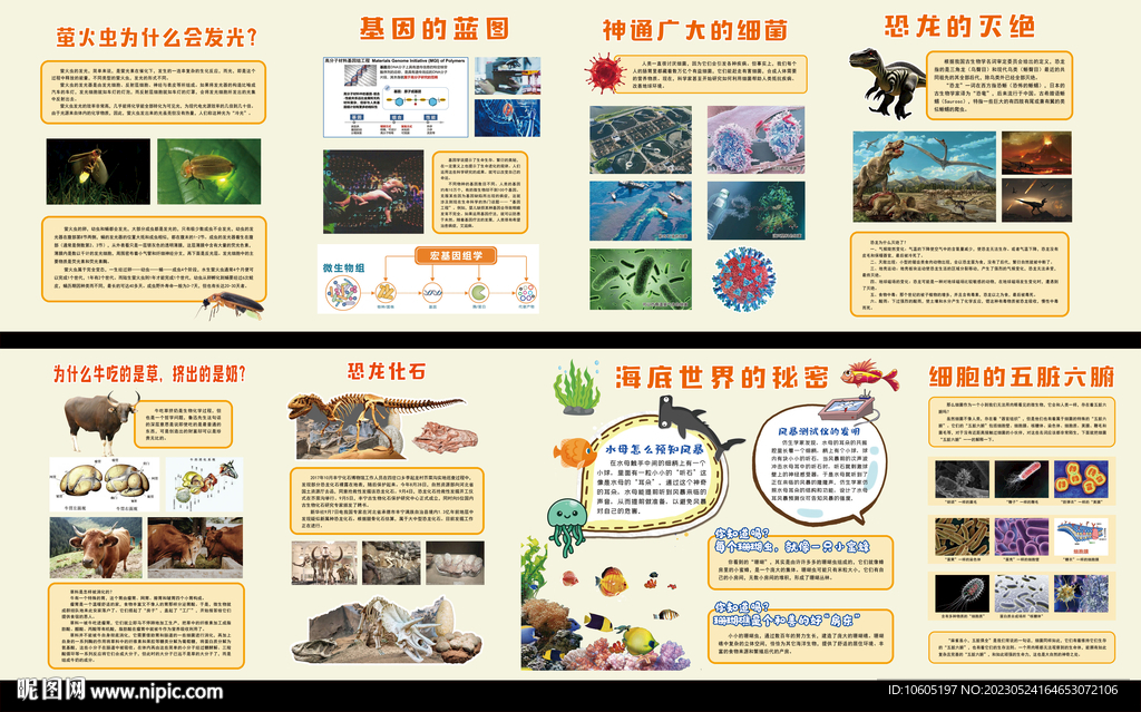 生物 物理 化学 校园文化