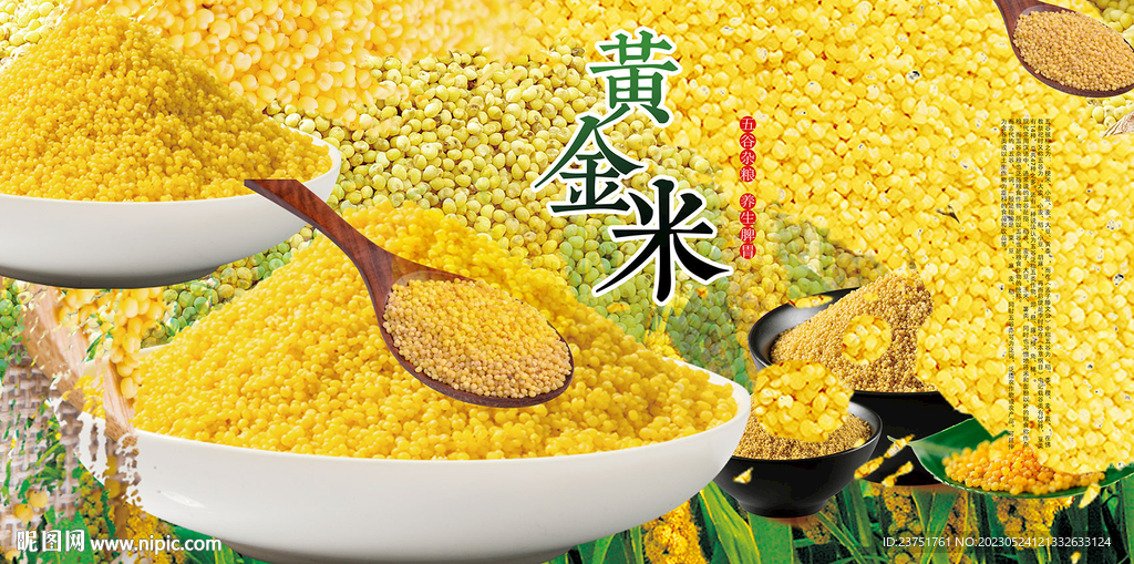 新鲜小米 