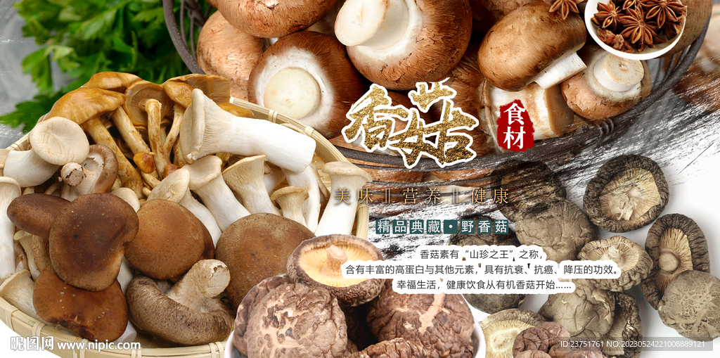 香菇 