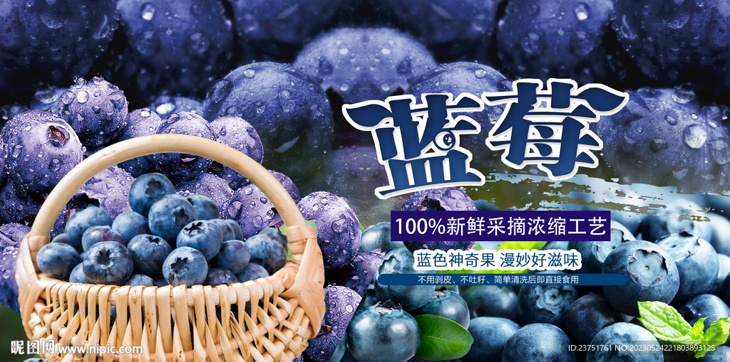 蓝莓采摘海报
