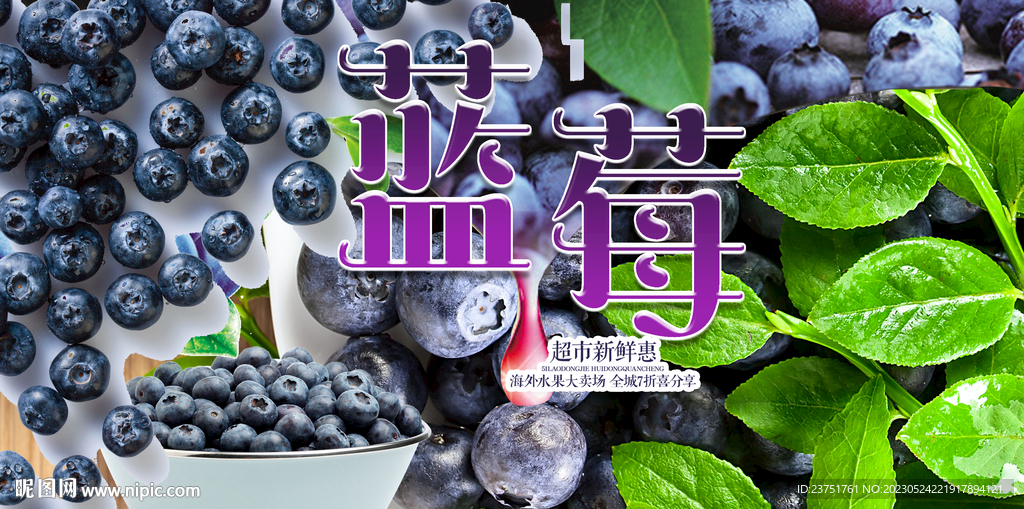 蓝莓 