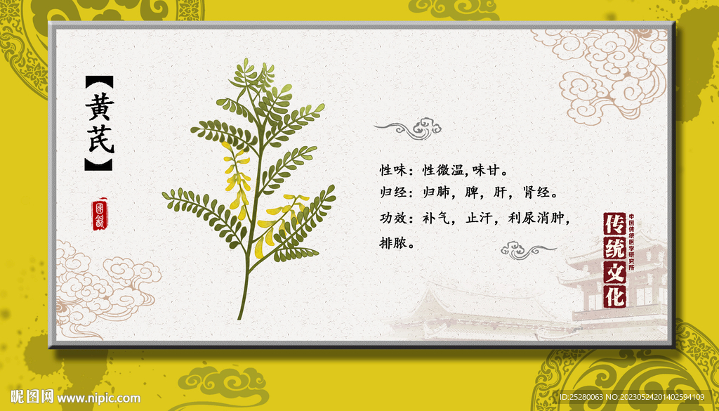 黄芪
