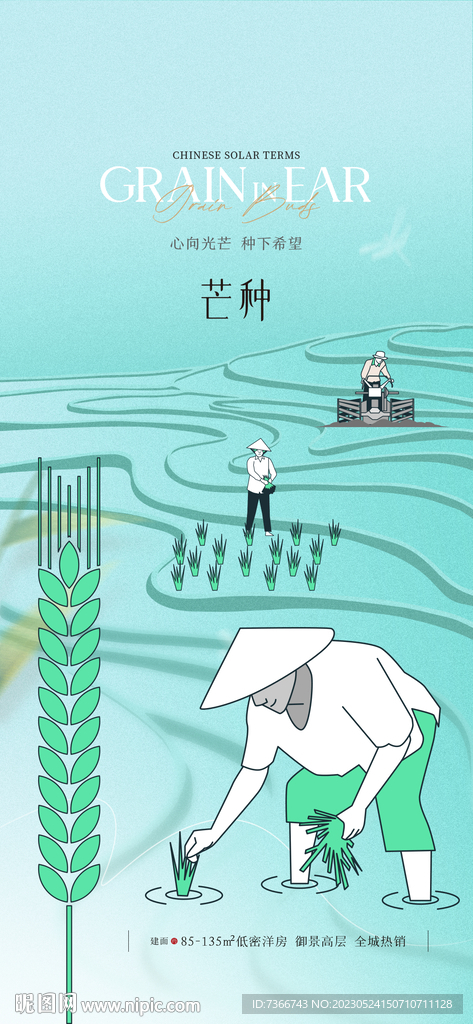芒种  