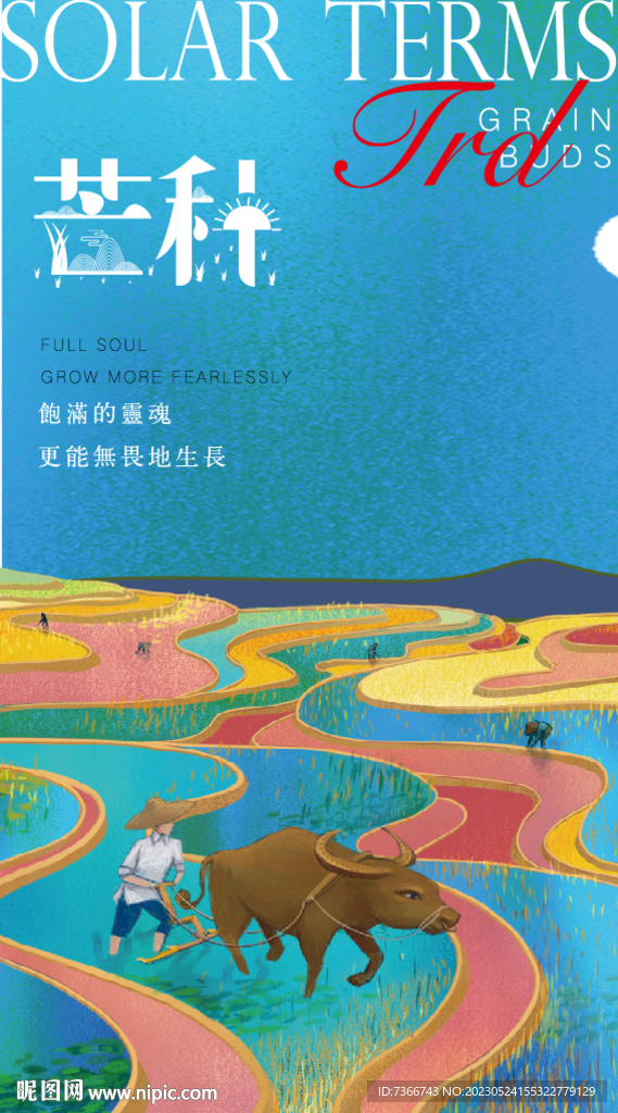 芒种 