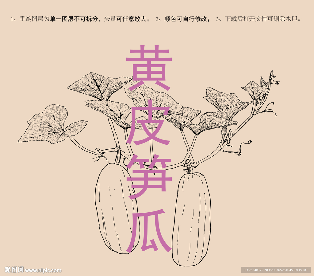 黄皮笋瓜